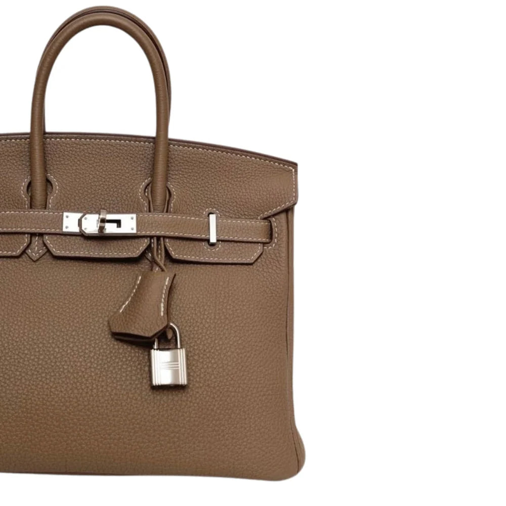 Hermès Birkin 25 — Brown Togo Leather, Palladium Hardware
