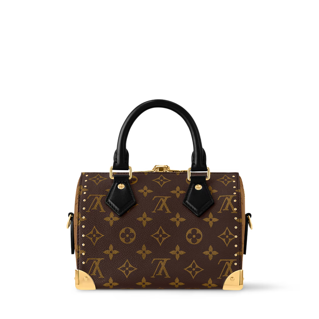 Vuitton Speedy Trunk 20