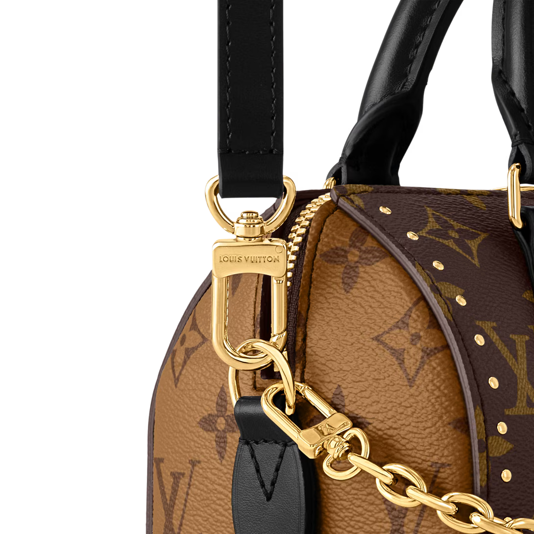 Vuitton Speedy Trunk 20