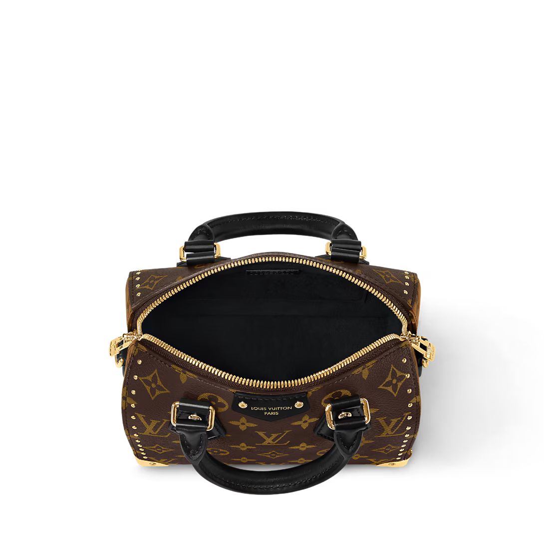 Vuitton Speedy Trunk 20
