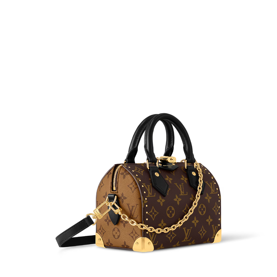 Vuitton Speedy Trunk 20