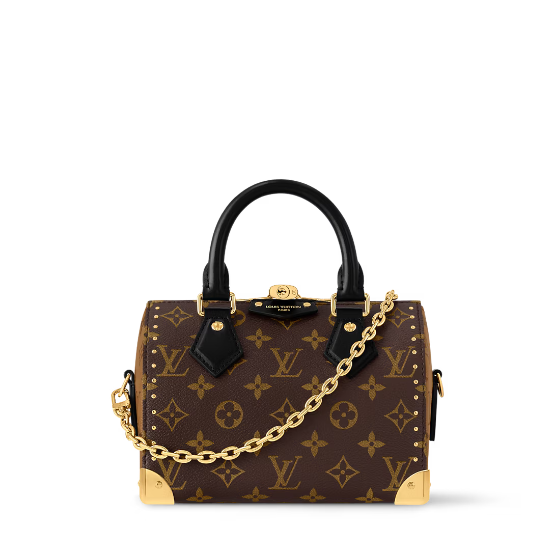 Vuitton Speedy Trunk 20