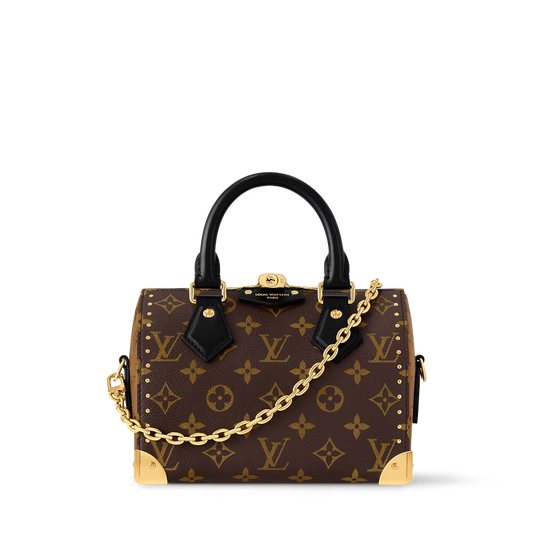 Vuitton Speedy Trunk 20