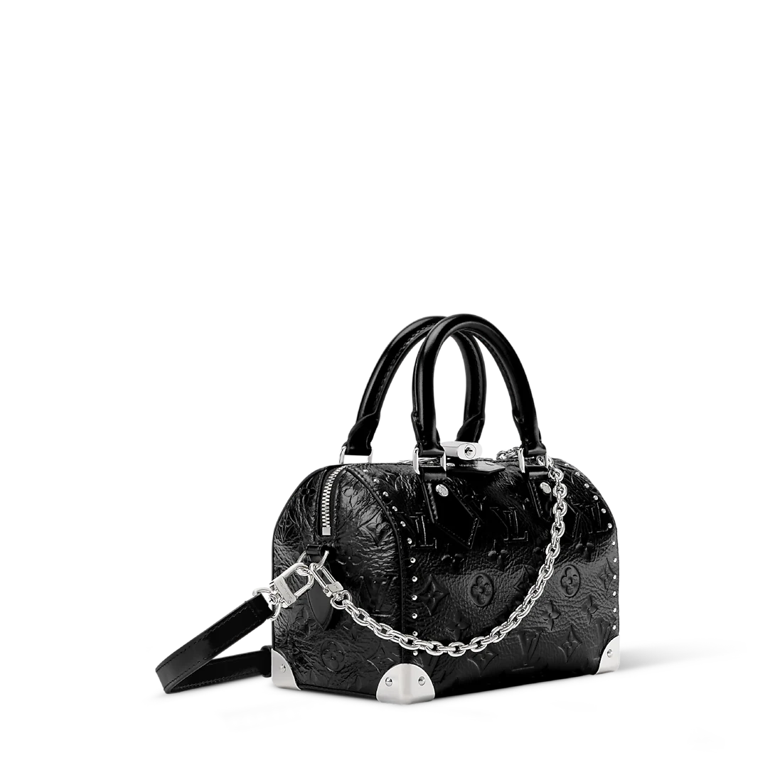 Vuitton Speedy Trunk 20