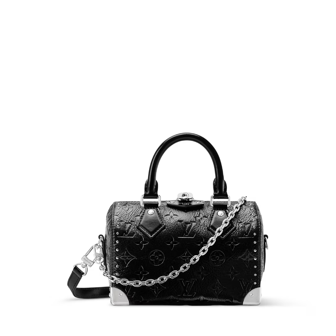 Vuitton Speedy Trunk 20