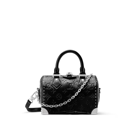 Vuitton Speedy Trunk 20